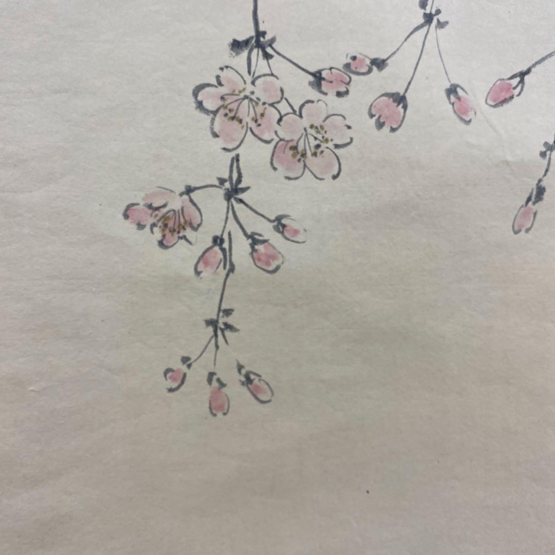 美品 掛け軸 寿昌作 桜図 共箱 花鳥 縁起物 年中掛け