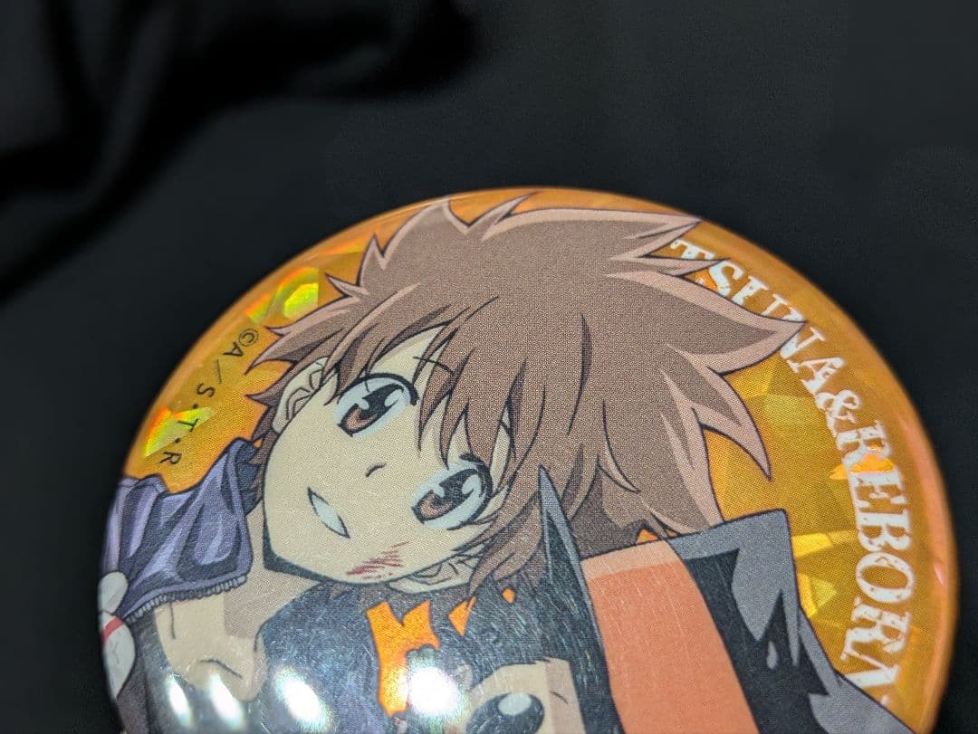 家庭教師ヒットマンREBORN! ひこくじコンプリートセット 缶バッジ 沢田綱吉