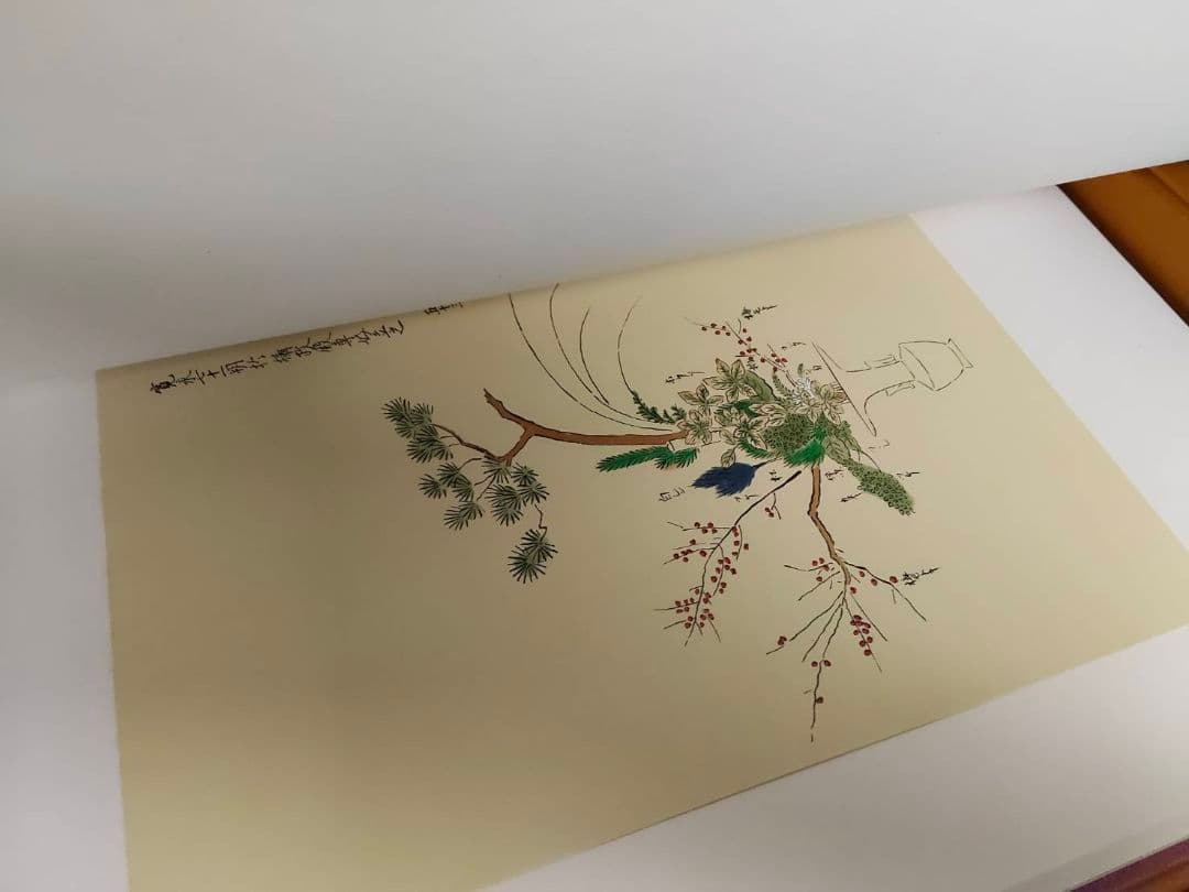 ★立花 陽明文庫蔵 池坊専好 講談社 昭和45年 解説付 定価3万9千円