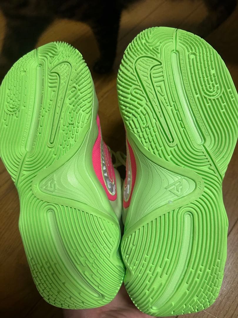 NIKE ヤニス イモータリティ4 バッシュ