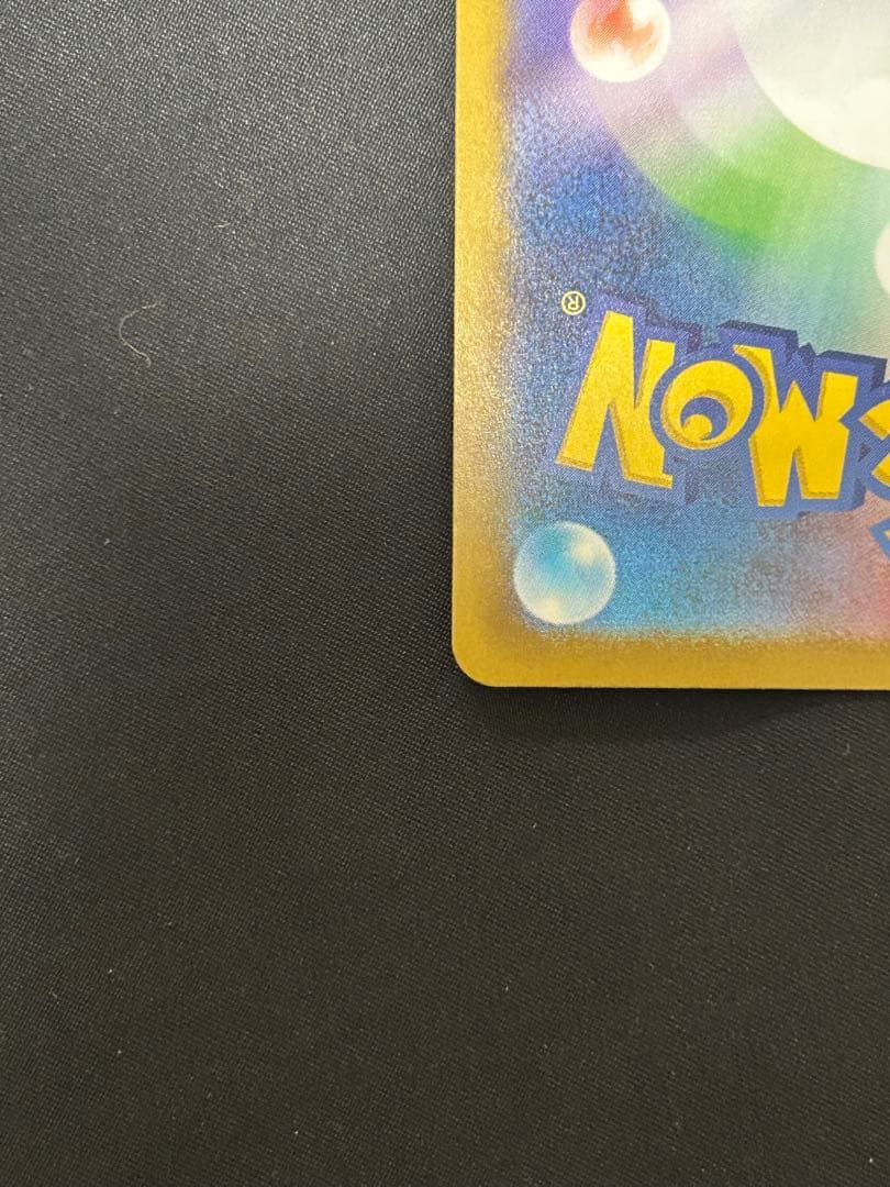 本日限定値引き　メガリザードンxex mur