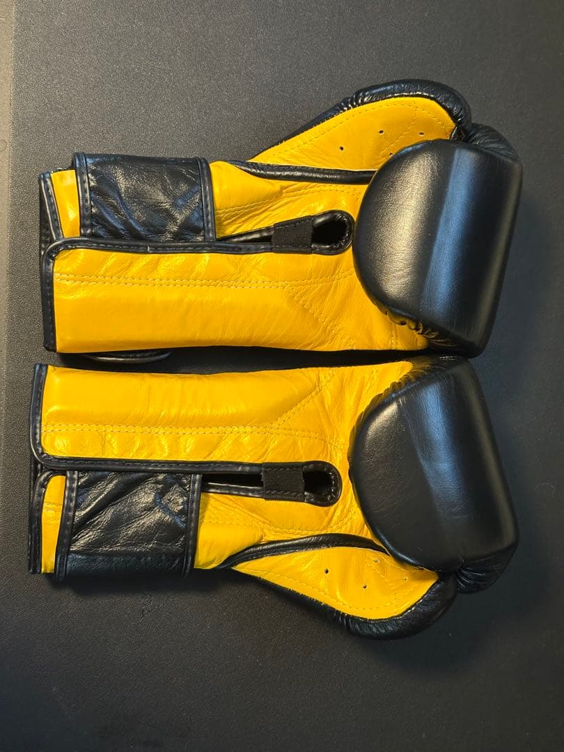 Fairtex BGV9 14オンス グローブ