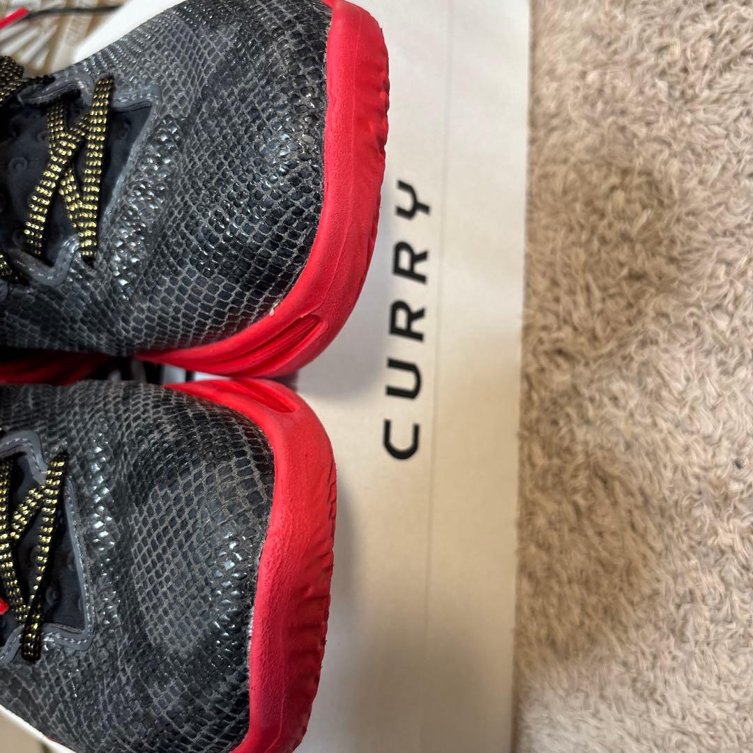CURRY 12 \"YEAR OF THE SNAKE\" カリー12
