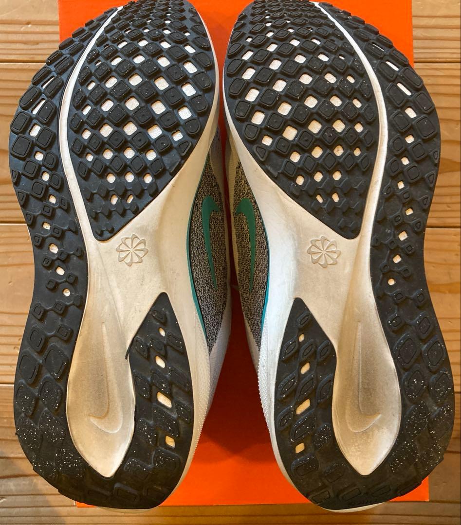 Nike ペガサス41 27cm