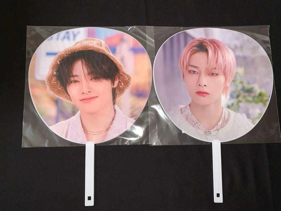 straykids アイエン　公式うちわ.ケース　15点セット売り