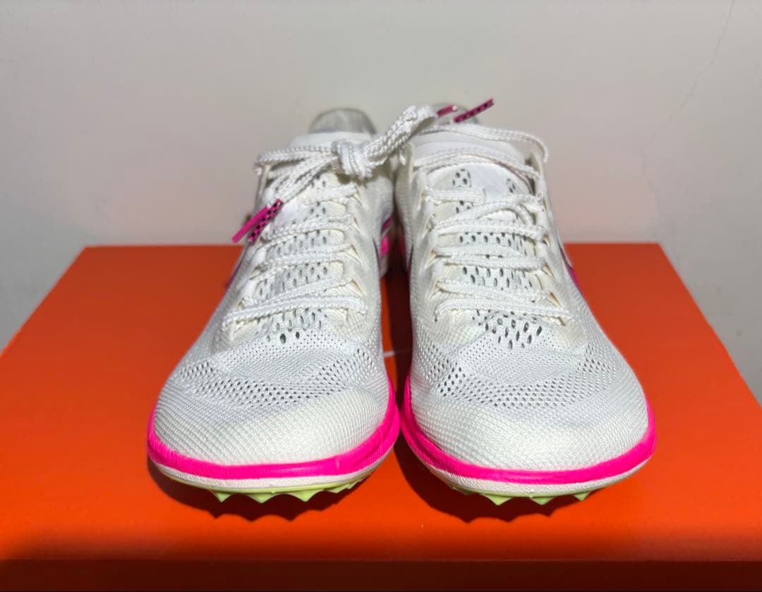 Nike ドラゴンフライ 25.0cm
