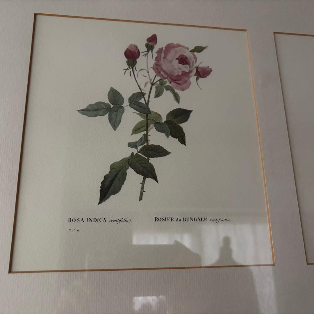 ローラアシュレイ 薔薇の額絵