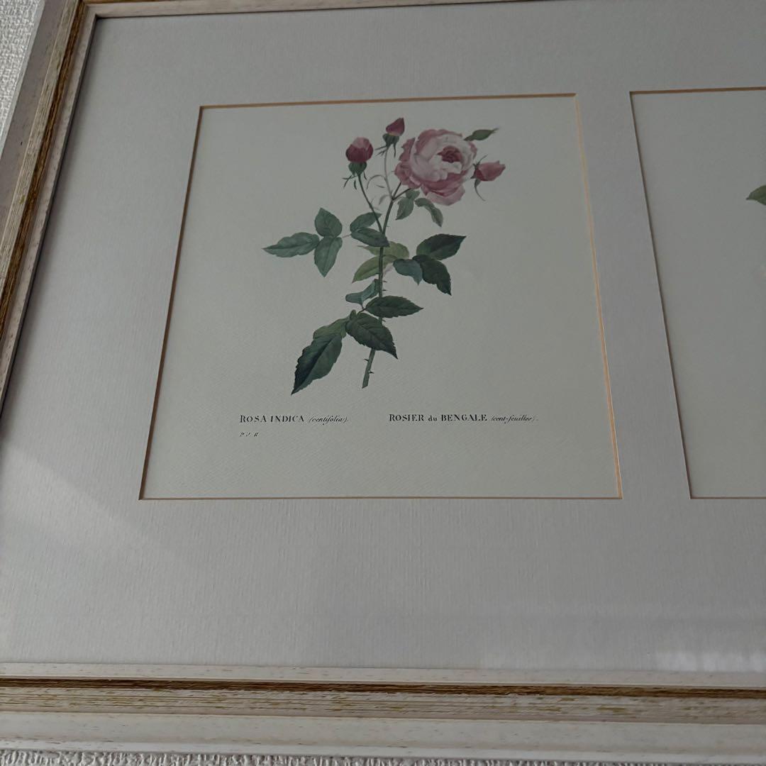 ローラアシュレイ 薔薇の額絵