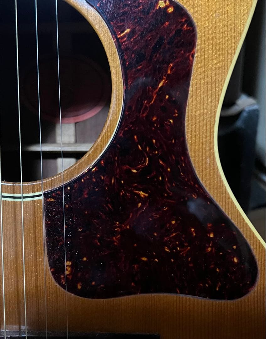 Gibson Ｌ-00 ギブソン1999