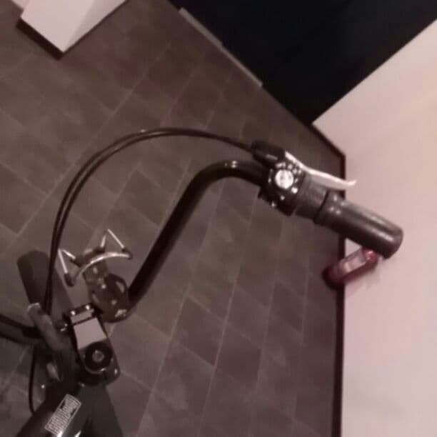 エレクトラ 自転車
