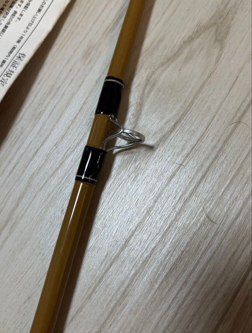 最終値下げ　ザウルス　フィリップソンBC60L 美品