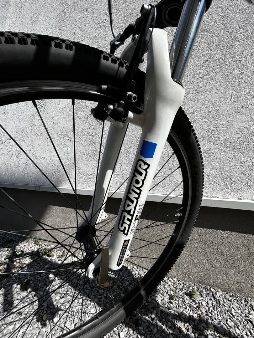 ポピン　ルイガノ LOUIS GARNEAU LGS-ASM 470