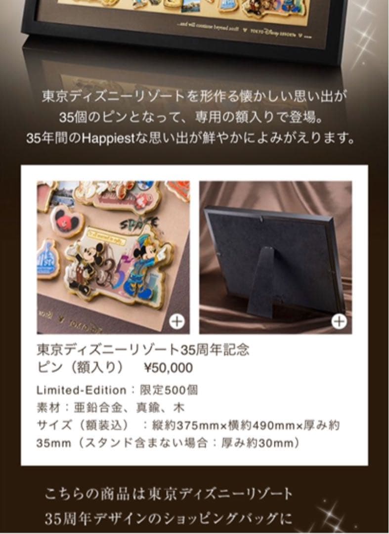 ディズニー　35周年記念品　ピンバッジ