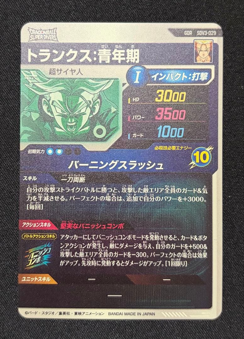 SDV3-029 GDR トランクス：青年期