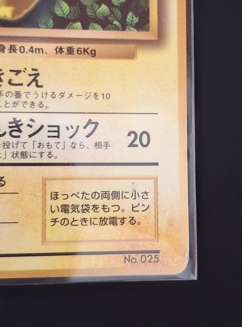 y*n様 旧裏 ピカチュウ エラー表記Ken Sugimori プロモ ポケモン