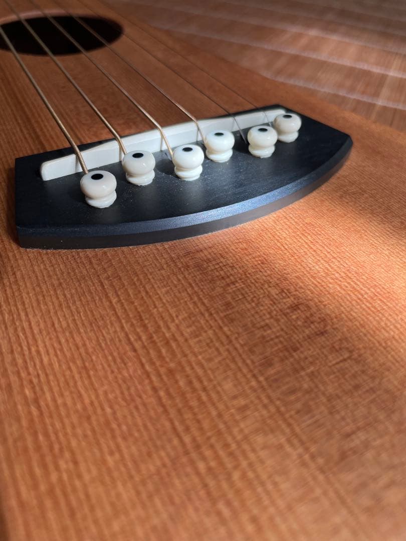 Martin マーチンバックパッカー　生産完了 美品 ケース付 トラベルギター