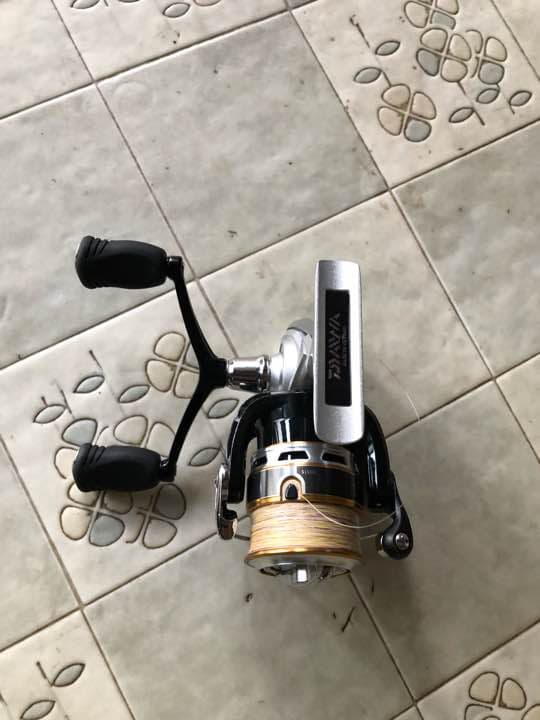 Daiwa リール