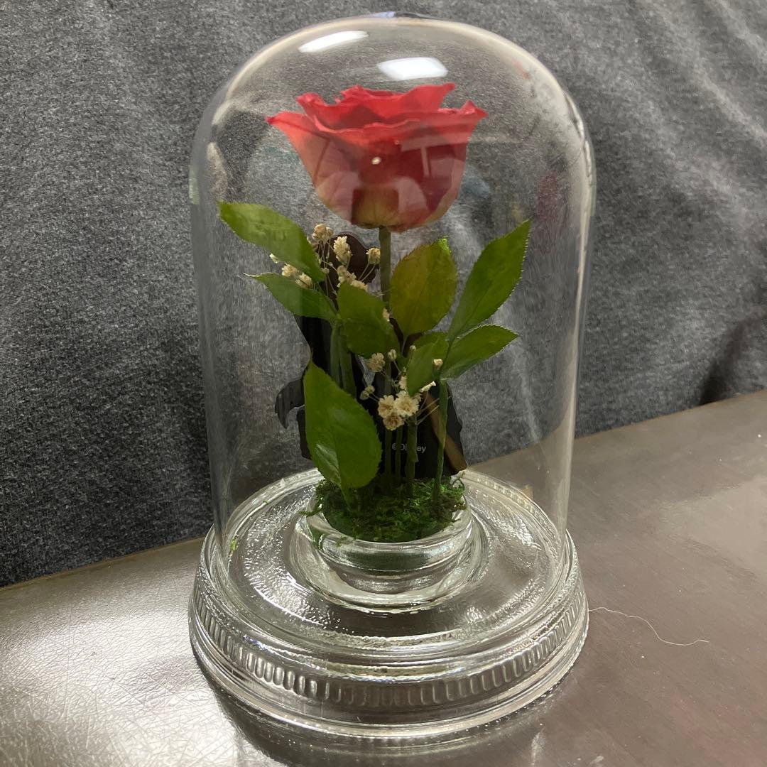 Reine De Fleur バラのガラスドーム　美女と野獣　ディズニー