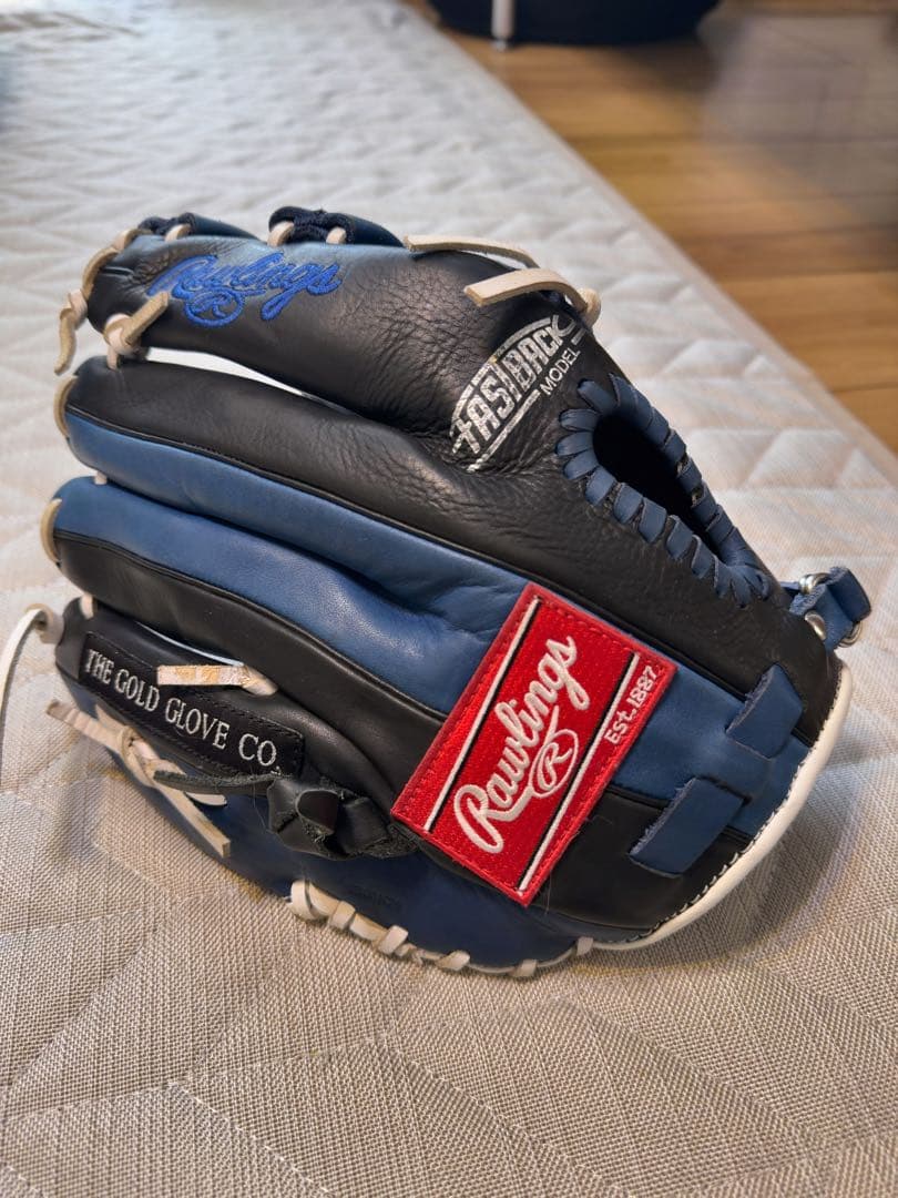 最終値下げ Rawlings The Gold Glove Co. グローブ