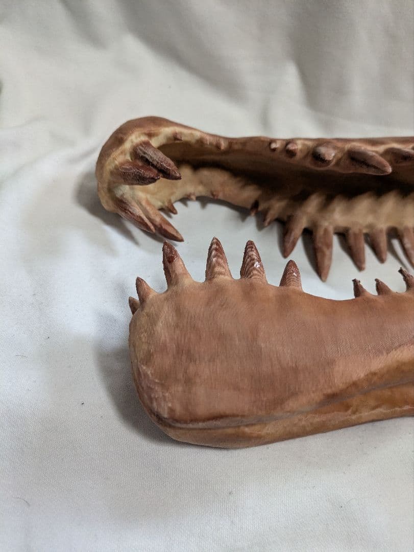 スピノサウルス　オキサライア　頭蓋骨　レプリカ