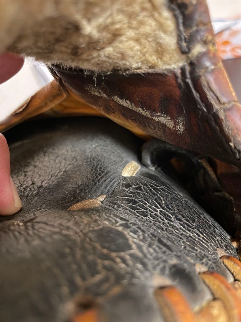 ミズプロ　硬式　外野用　右投