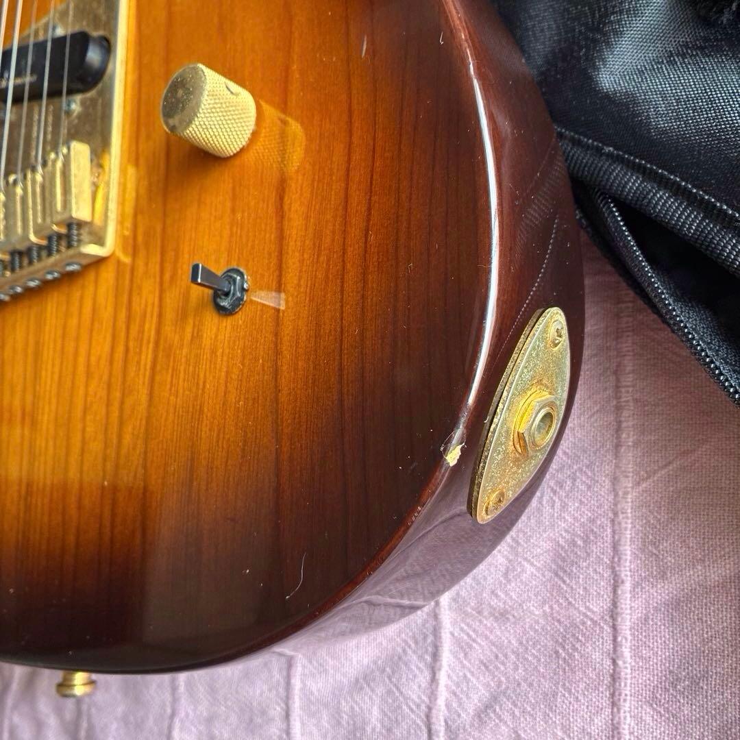 FERNANDES エレキギター F.G.I. TECHNOLOGY