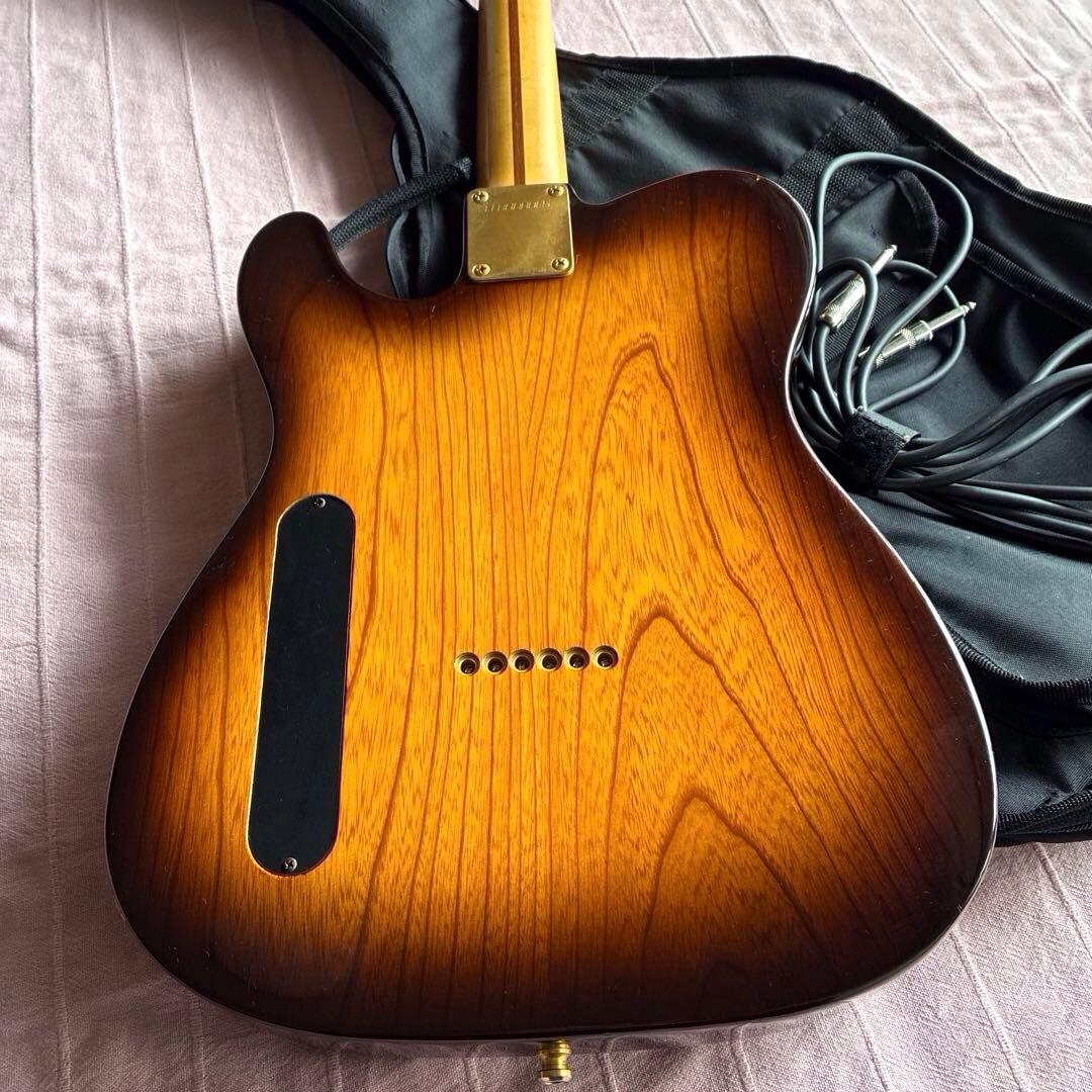 FERNANDES エレキギター F.G.I. TECHNOLOGY