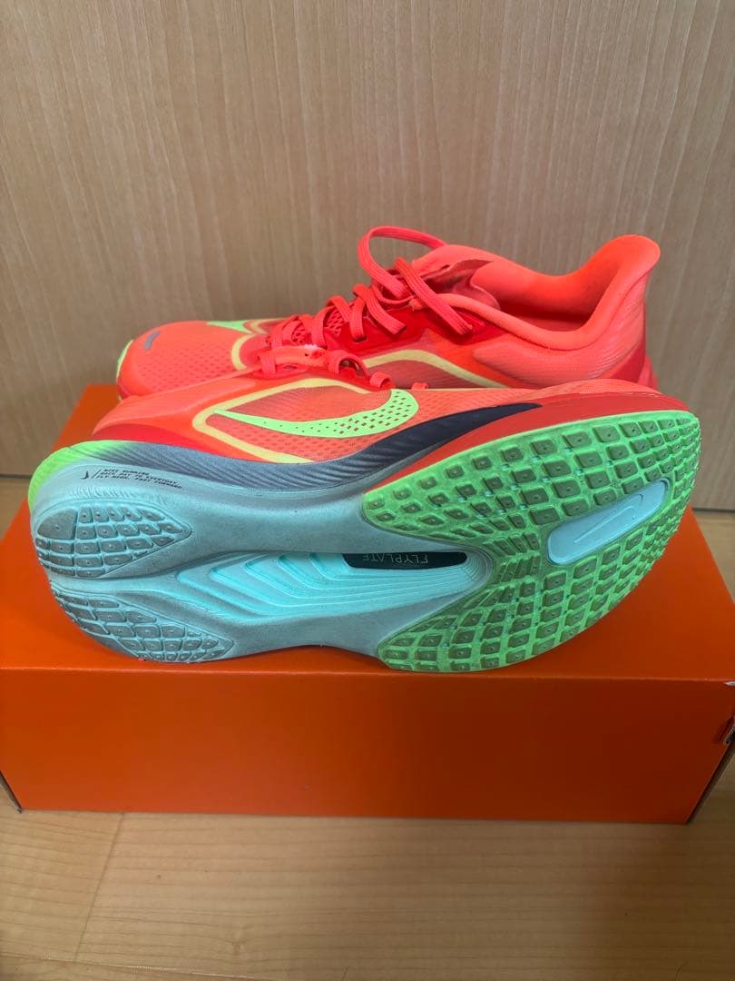 Nike ランニングシューズ ズームフライ6 25.0