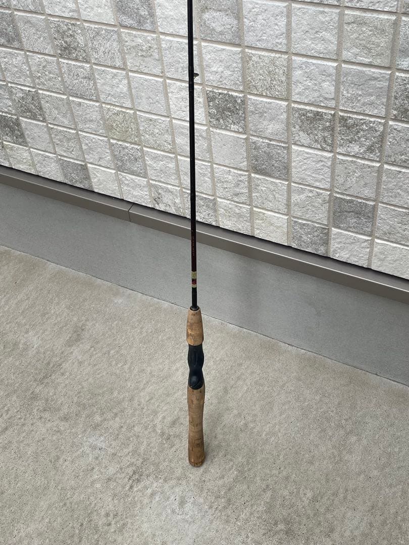 TEAMDAIWA バスロッド