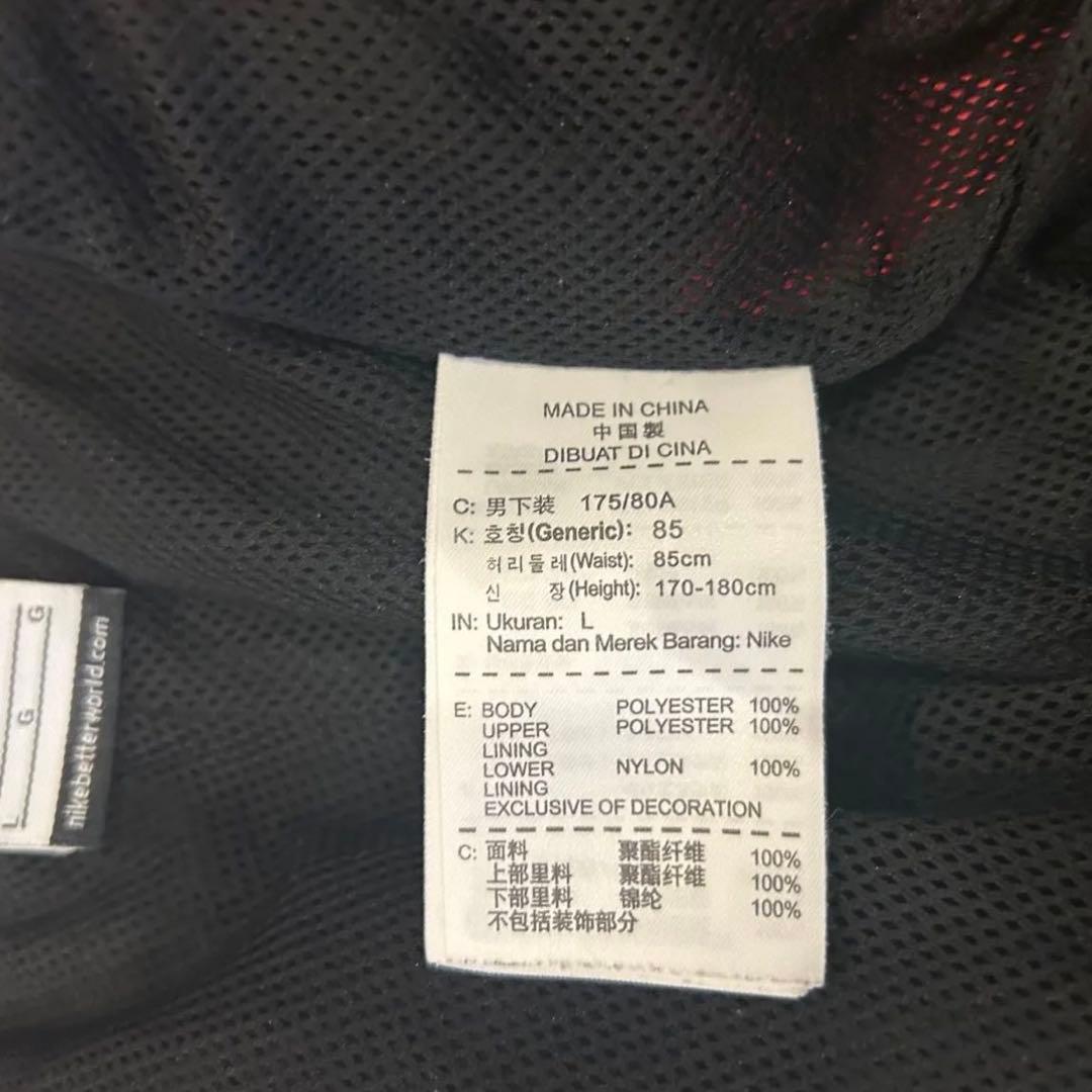 希少デザイン・美品　NIKE ナイロンパンツ トラックパンツ マルチカラー　L