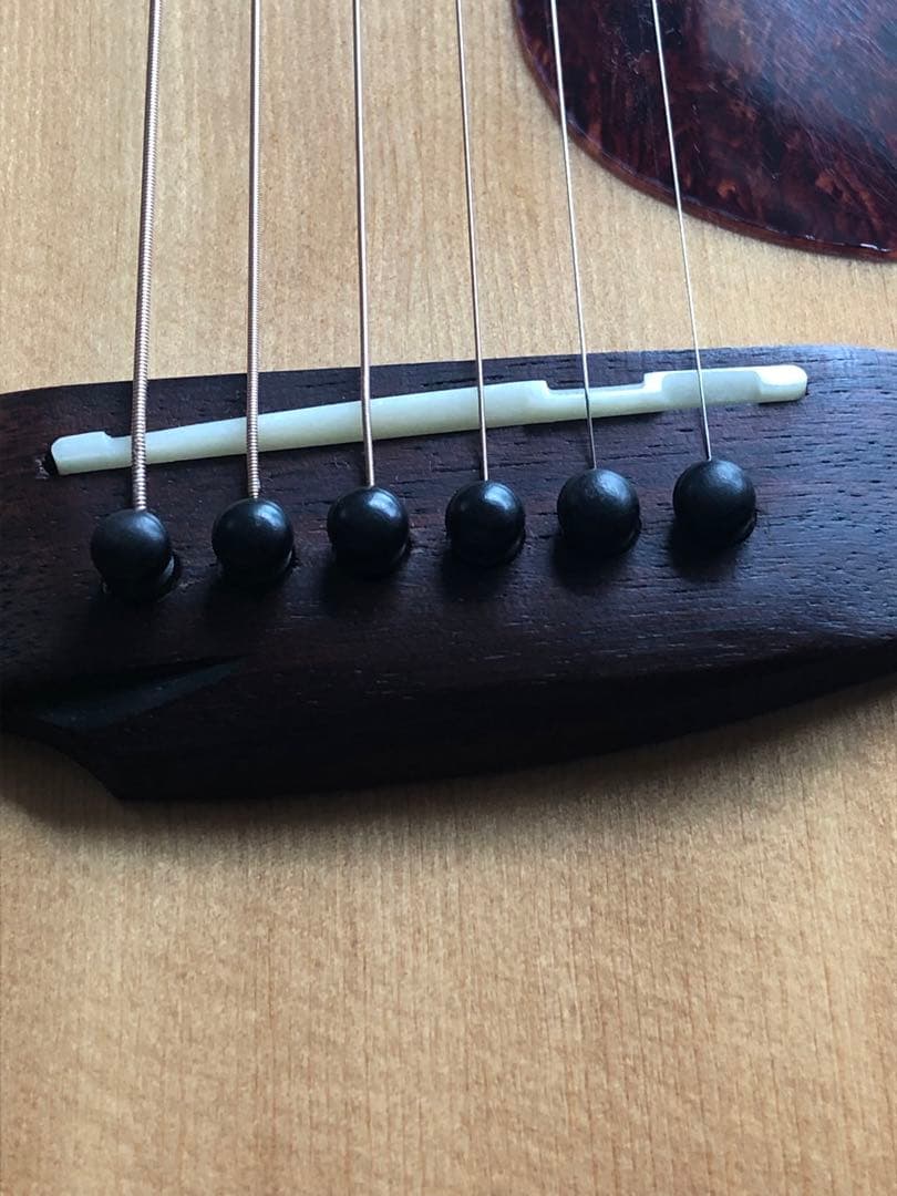 James ジェームス J450Aピックアップ