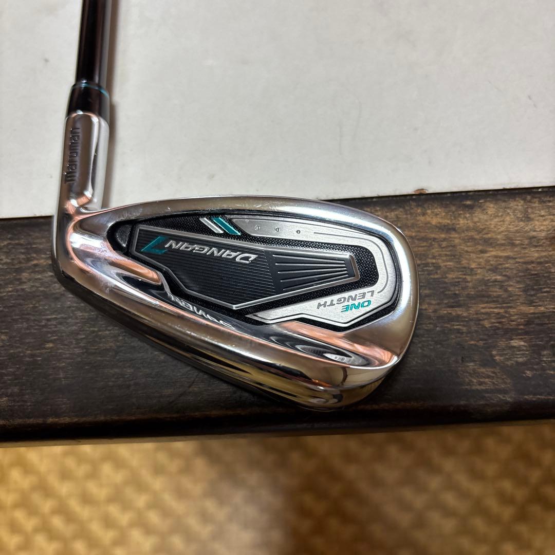 ワンレッグスアイアン　ダンガン7 ５本セット