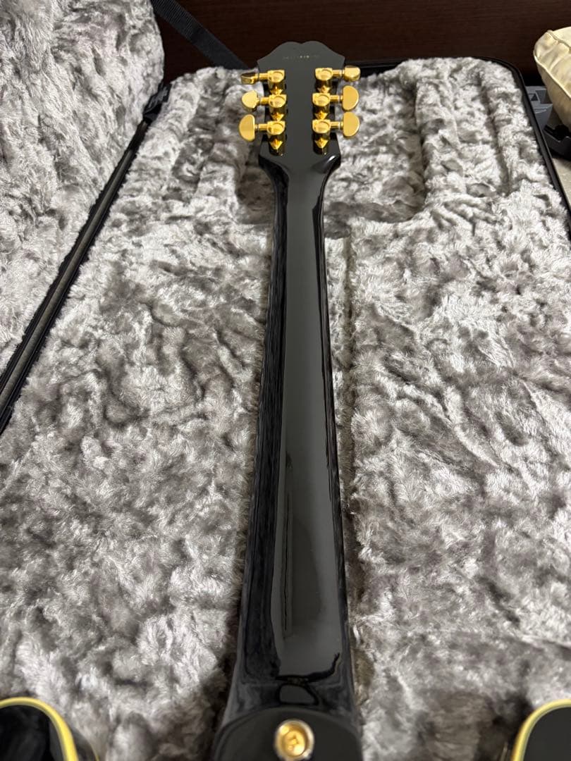希少品　Epiphone B.B. King Lucille