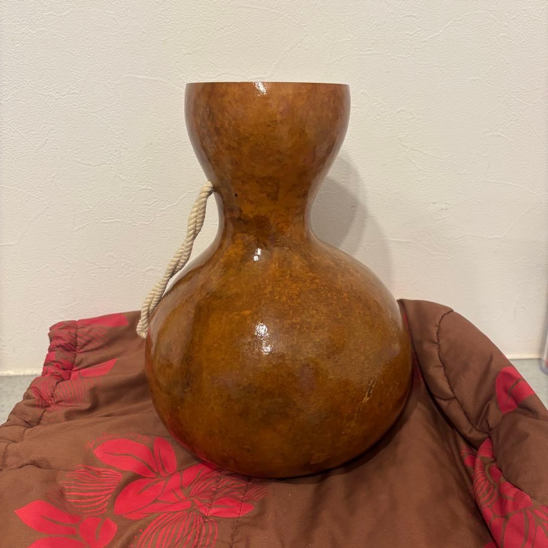 フラ イプ 楽器 ケース付き