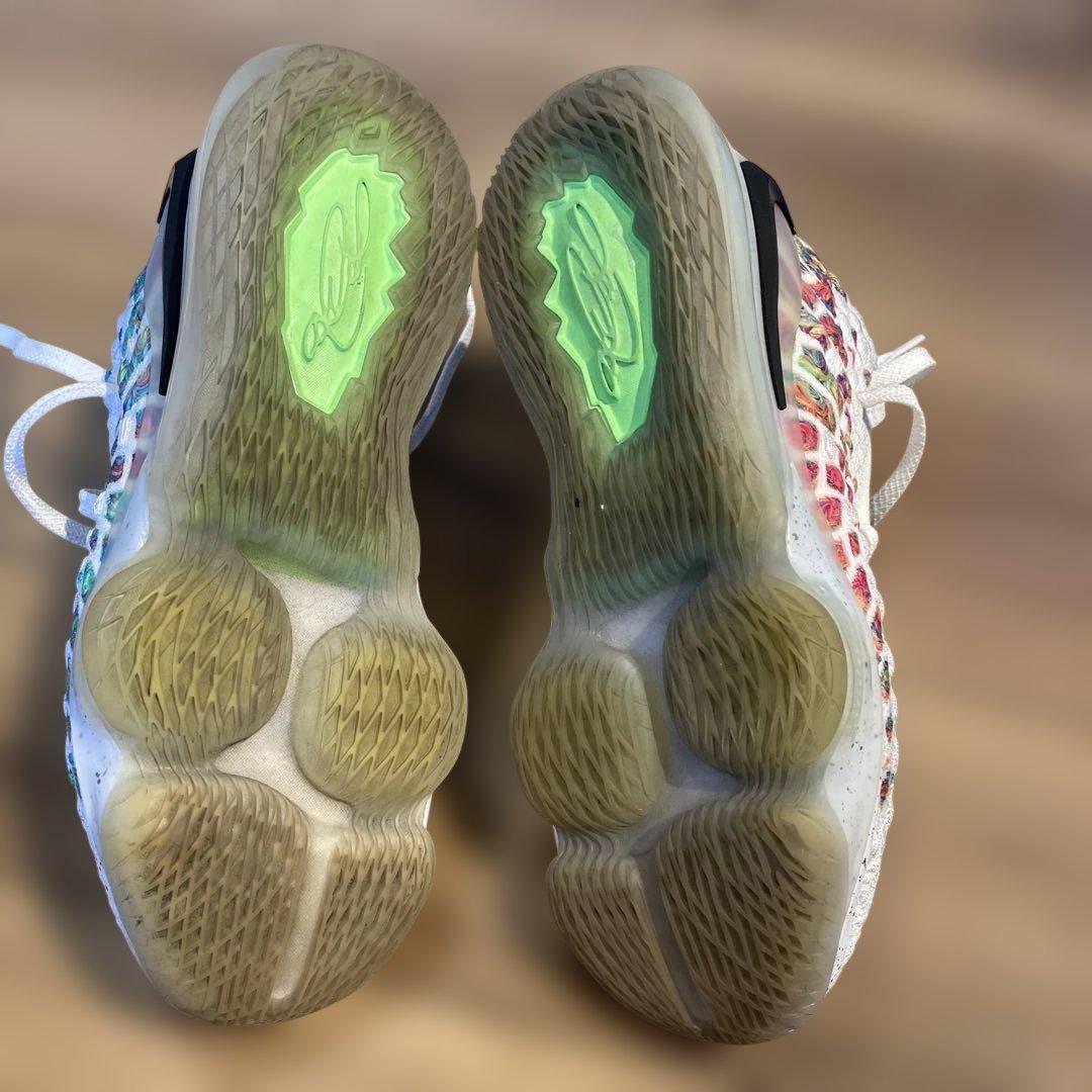 Nike LeBron バスケットボールシューズ