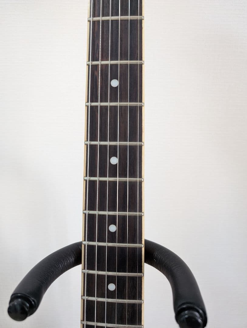 Epiphone Wildkat エピフォン　ワイルドキャット　ビグスビ―付
