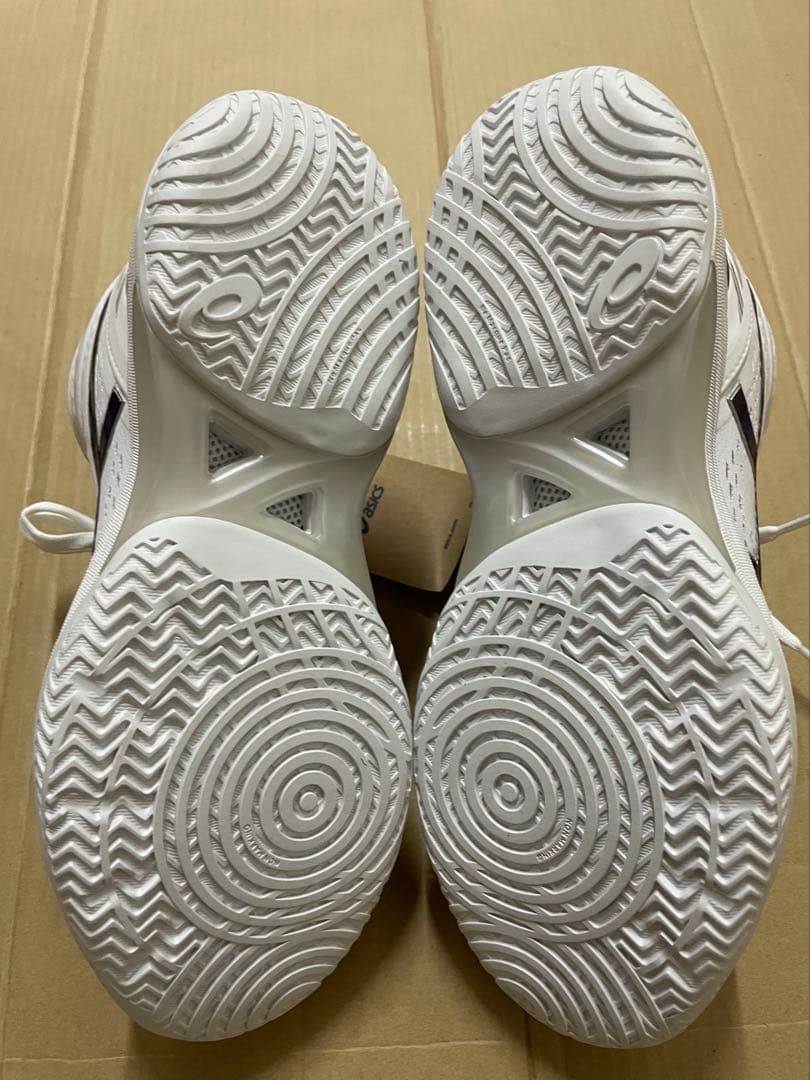 アシックス　ゲルフープv14 27cm ASICS GELHOOP