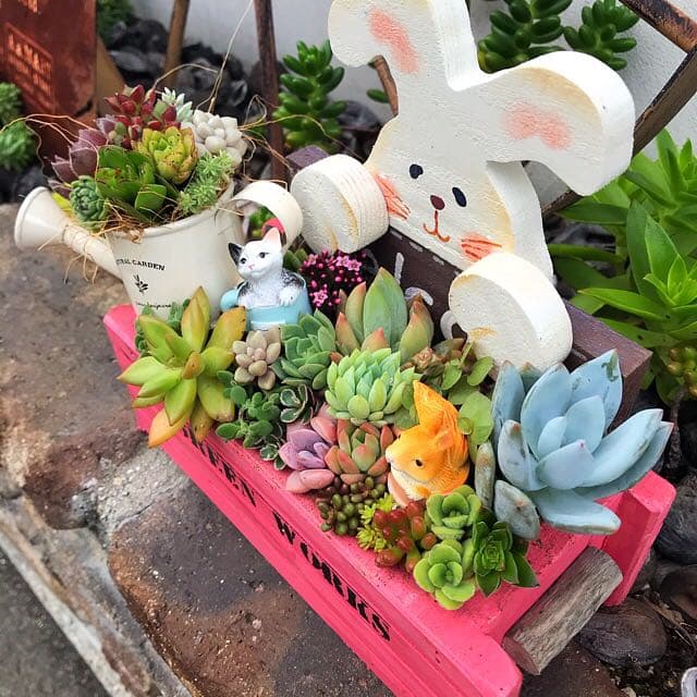 ★多肉植物　寄せ植え〜手作り木製　うさぎさん木箱〜★