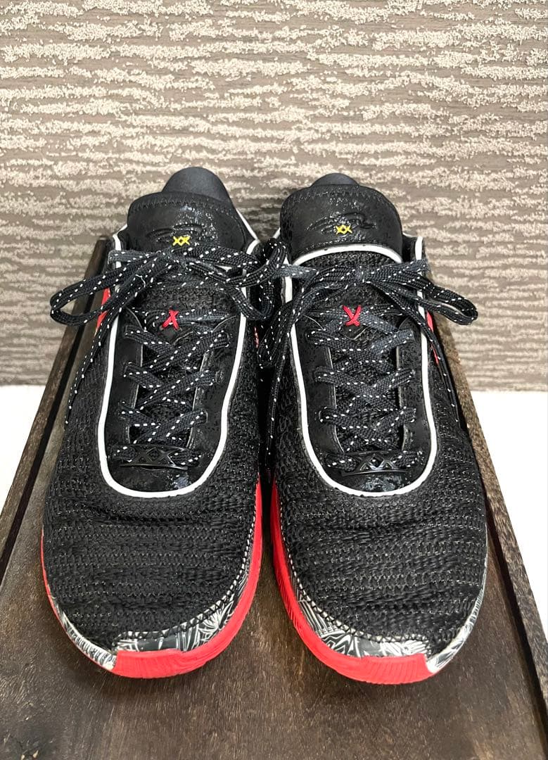 【美品】NIKEレブロン20マイアミヒート⭐︎プロのメンテナンス済み