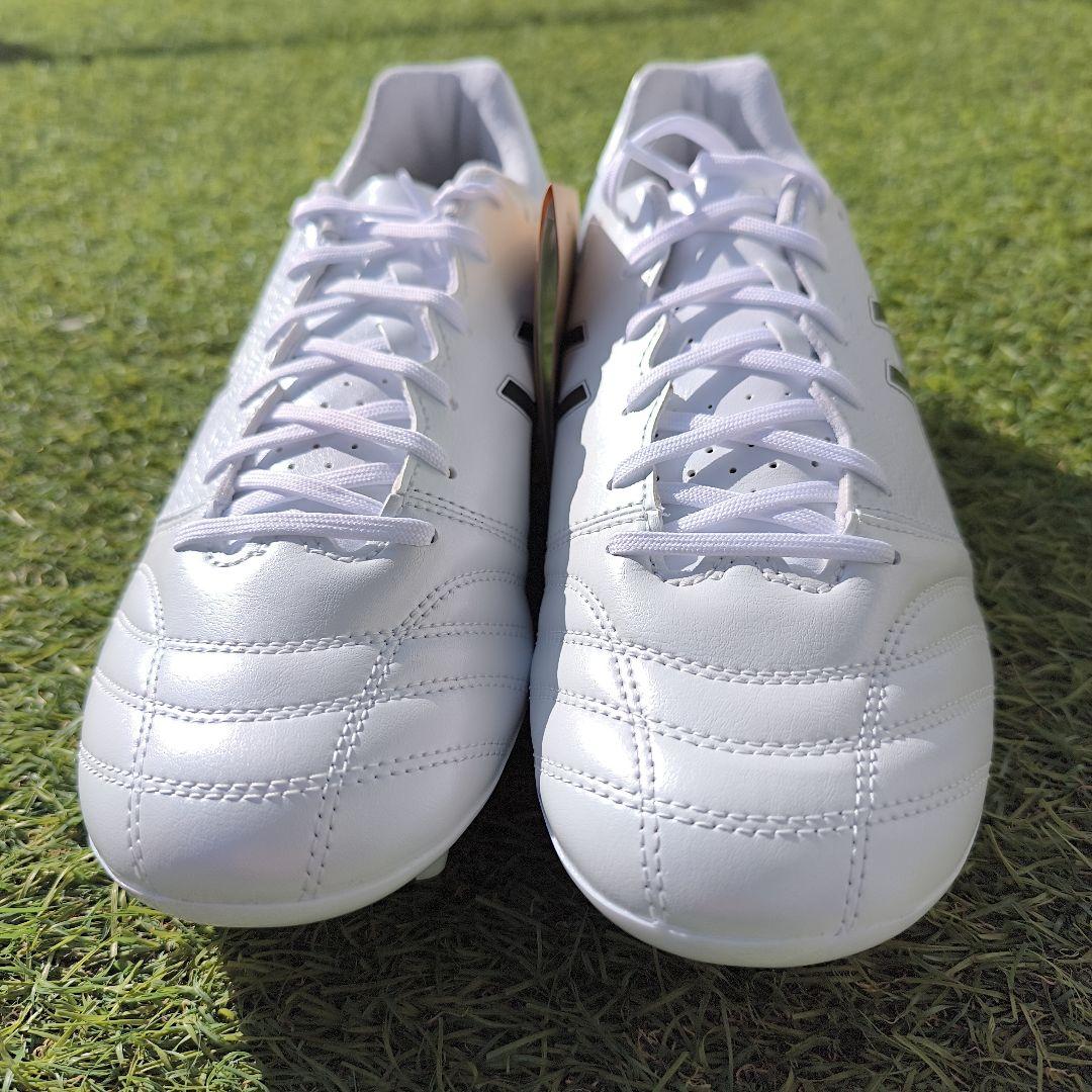 シューズ asics DS LIGHT ADVANCE WIDE 27.5cm