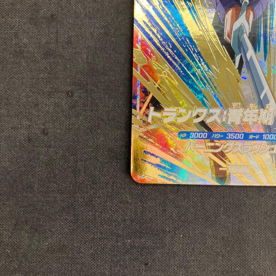 SDV3-029 GDR トランクス:青年期