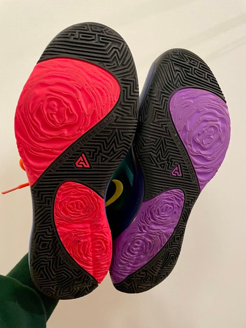 NIKE、ズームフリーク1、26センチ