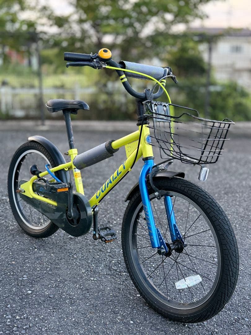 自転車本体 Dually
