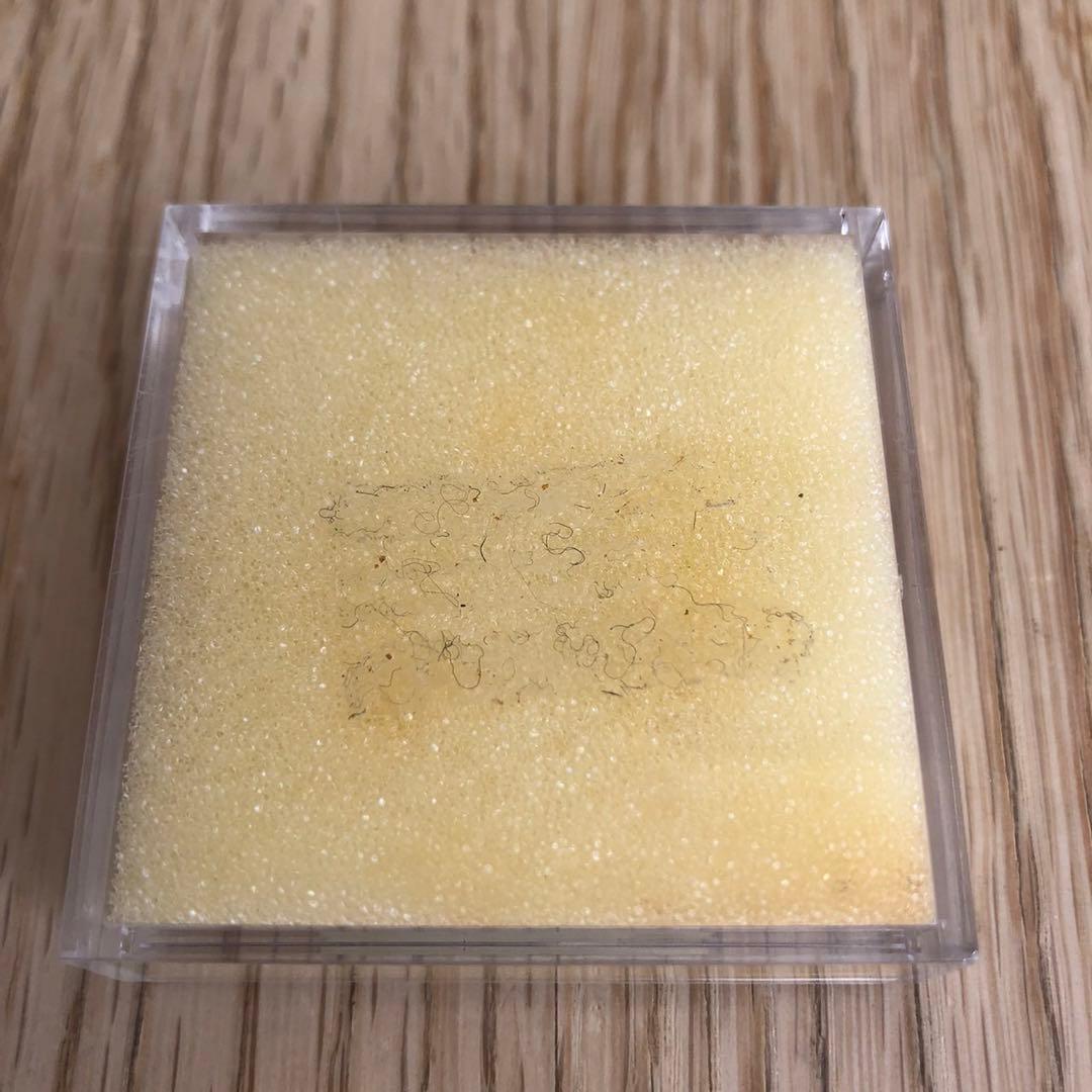 ゴルフ　マーカー　グアム　土産　未使用品