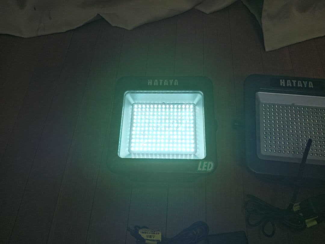 HATAYA LEDライト 10W 2個セット