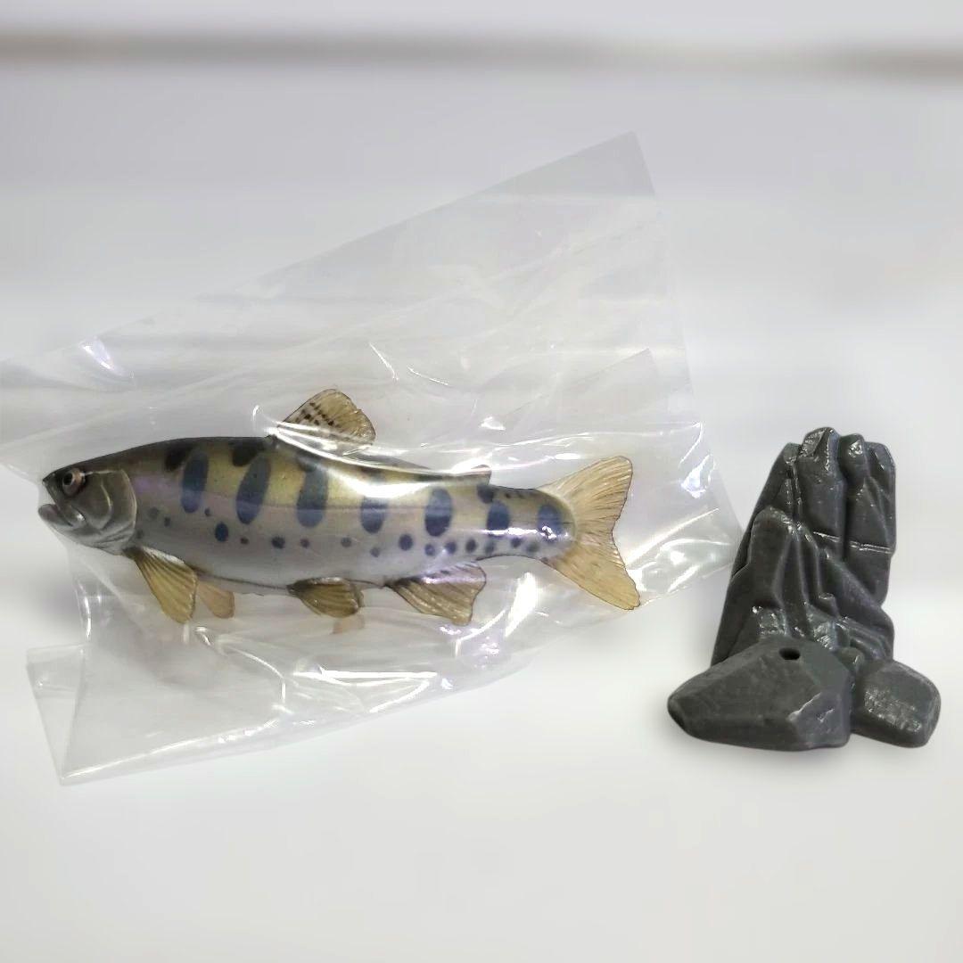 ユージン 原色淡水魚図鑑Ⅰ 全13種+シークレット1種セット