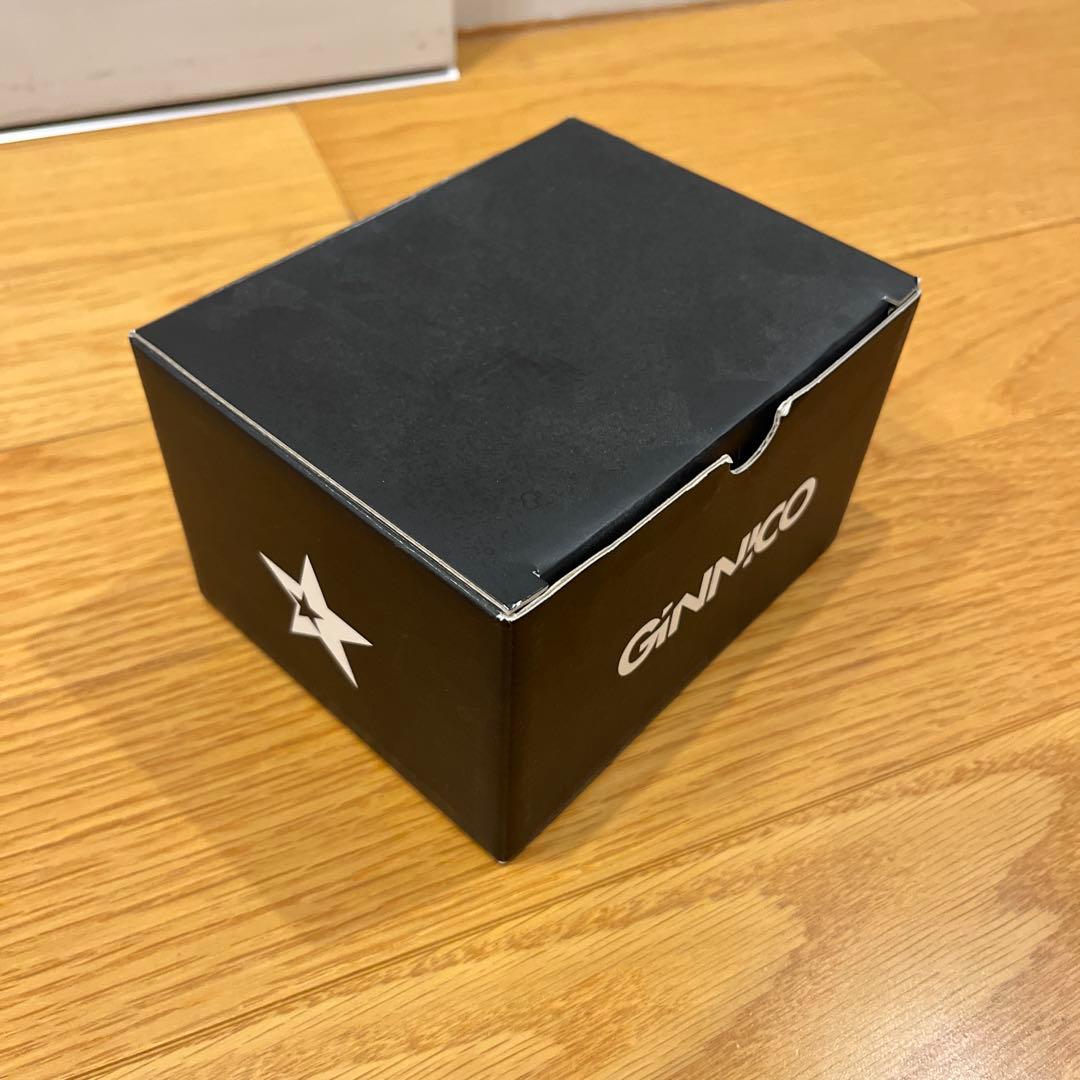 GINNICO MODEL01 D ドライバー　ヘッド