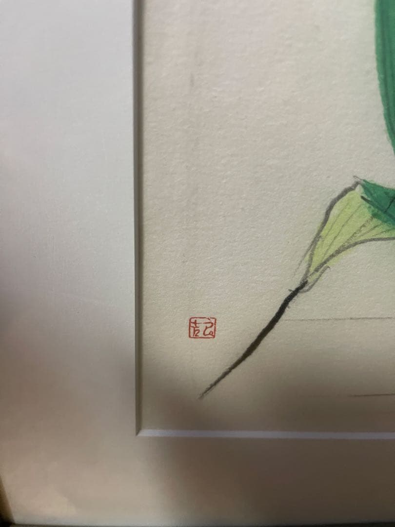 猫の画家 小沢良吉　　珍品　ホトトギス