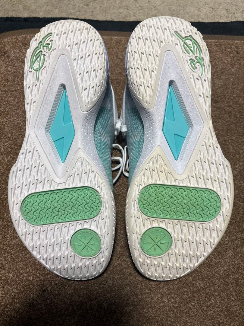 リーニンLi-Ning wade flashバッシュ26.5㎝