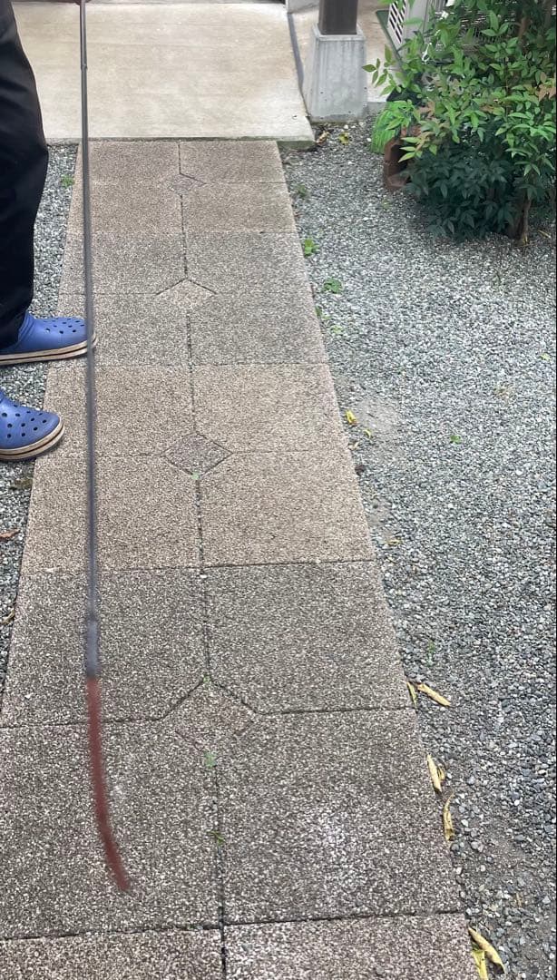 もぐ　貴重　中古　鮎竿　コロガシ